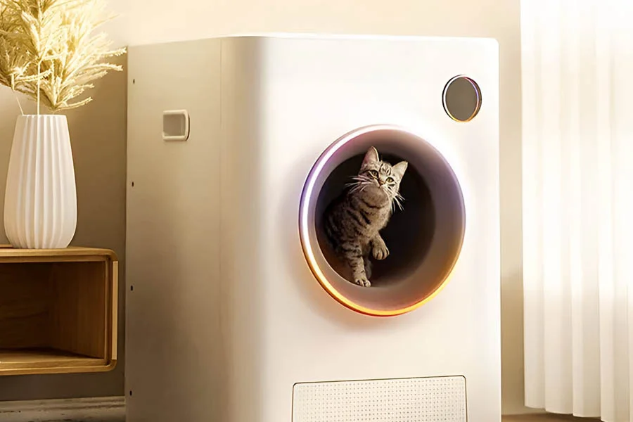 automatic kitten litter box